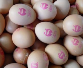 ���a�C(j��)���ݵ��ИI(y��)�đ�(y��ng)��