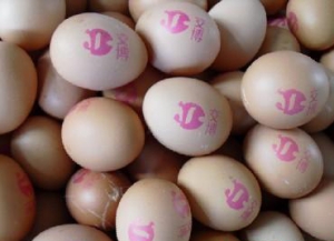 ���a�C���ݵ��ИI(y��)�đ���